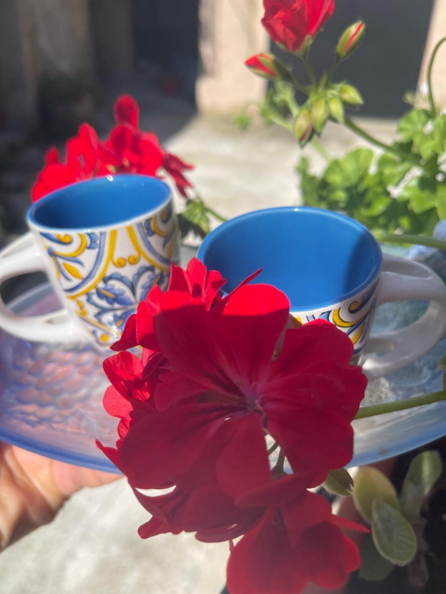 Bed and Breakfast La Rosa Blu Джераче Экстерьер фото